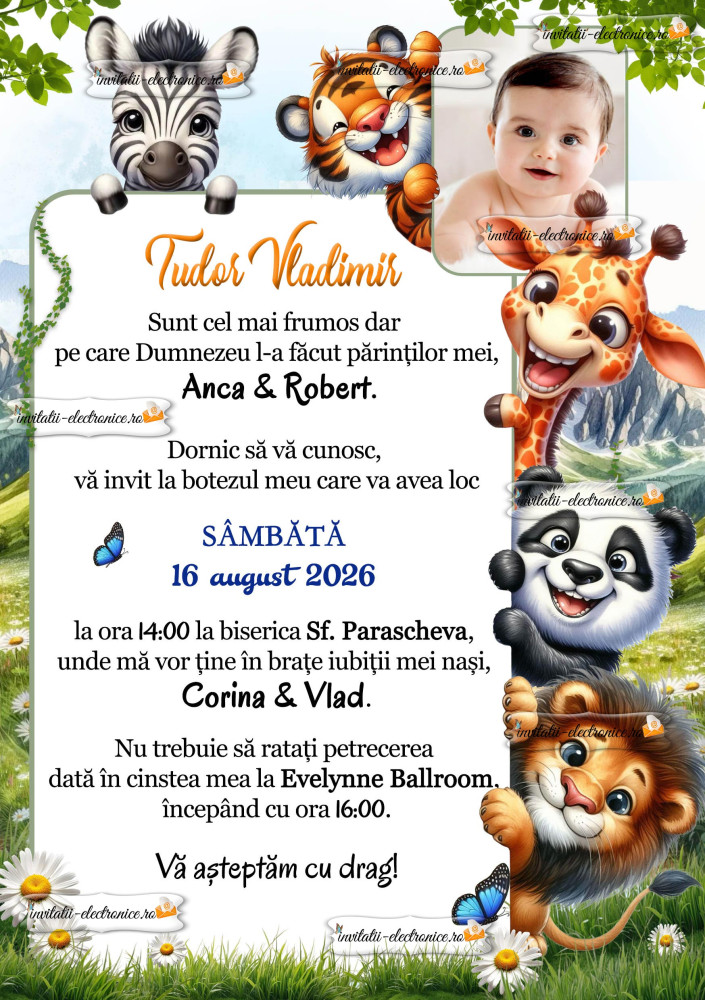 Invitatie la botez baietel