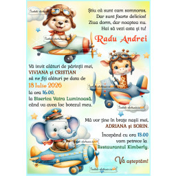 Invitatie de botez aviator