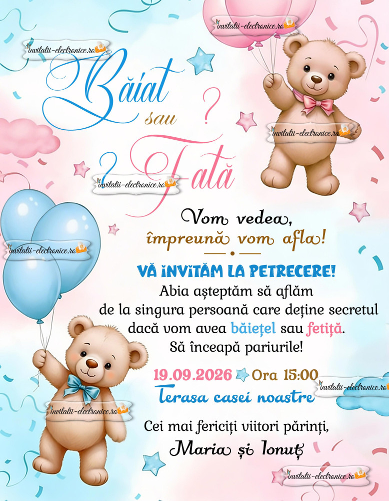 Invitatie la petrecere aflare sex bebe