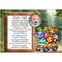 Invitatie cu animale in masina