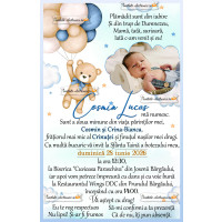 Invitatie cu ursulet si baloane