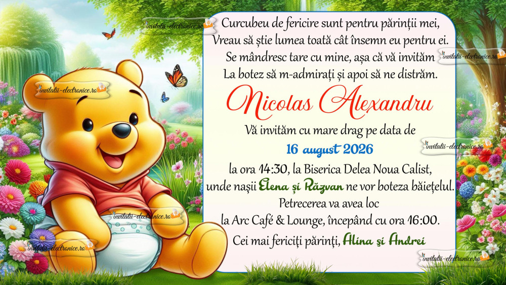 Invitatie la botez cu Winnie