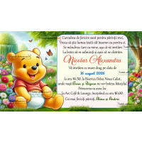 Invitatie la botez cu Winnie