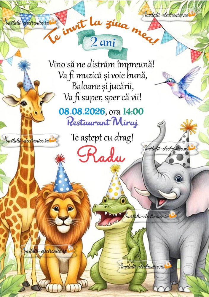 Invitatie petrecere baietel