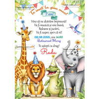 Invitatie petrecere baietel