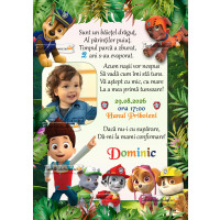 Invitatie Pow Patrol