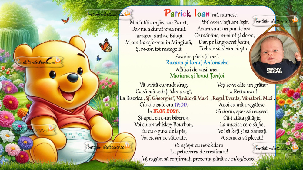 Invitatie la botez cu Winnie