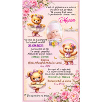 Invitatie la botez cu balerine