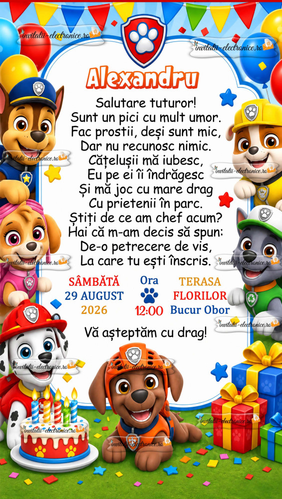 Invitatie aniversare baietel