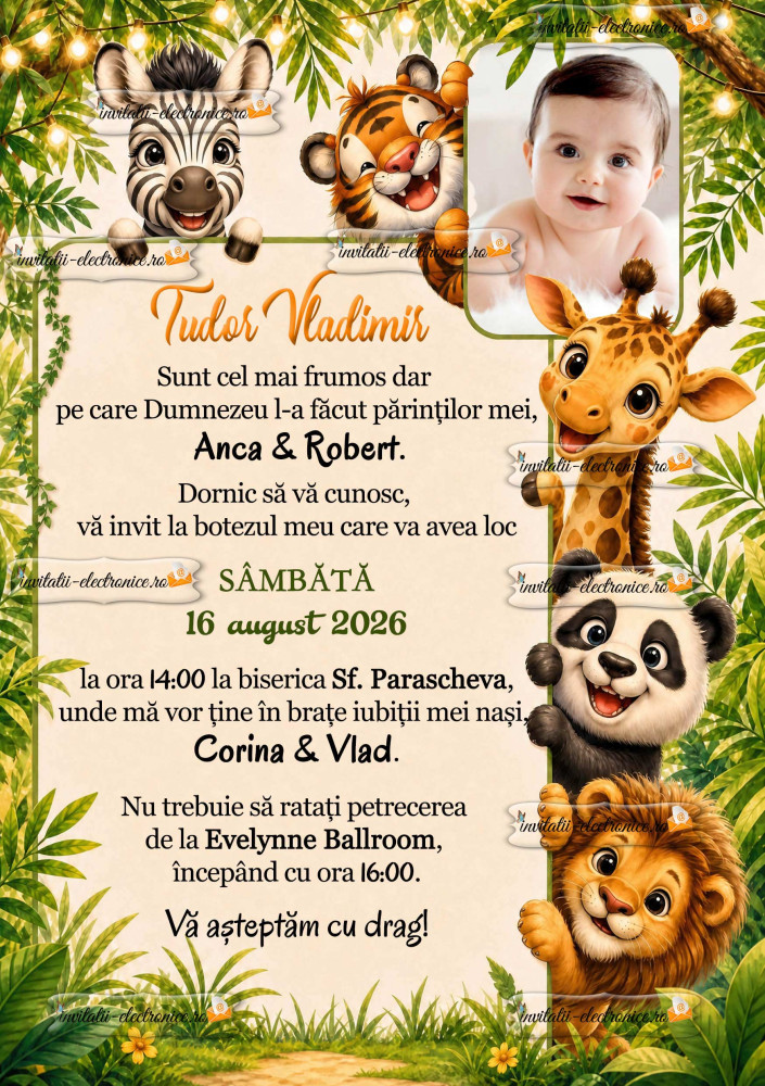 Invitatie la botez baietel