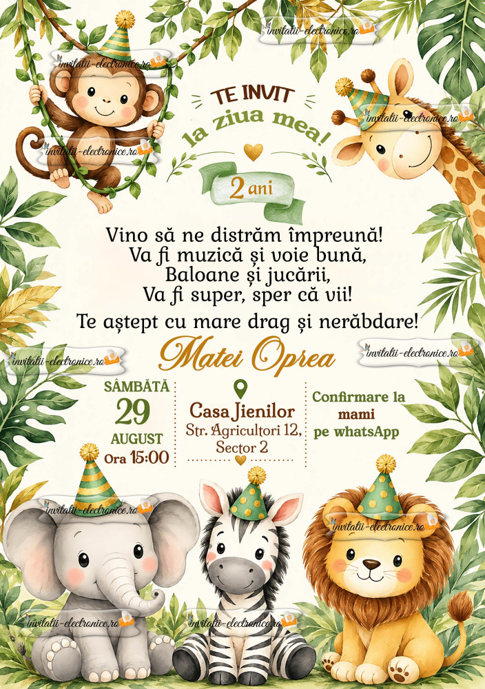 Invitatie petrecere baietel