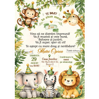 Invitatie petrecere baietel