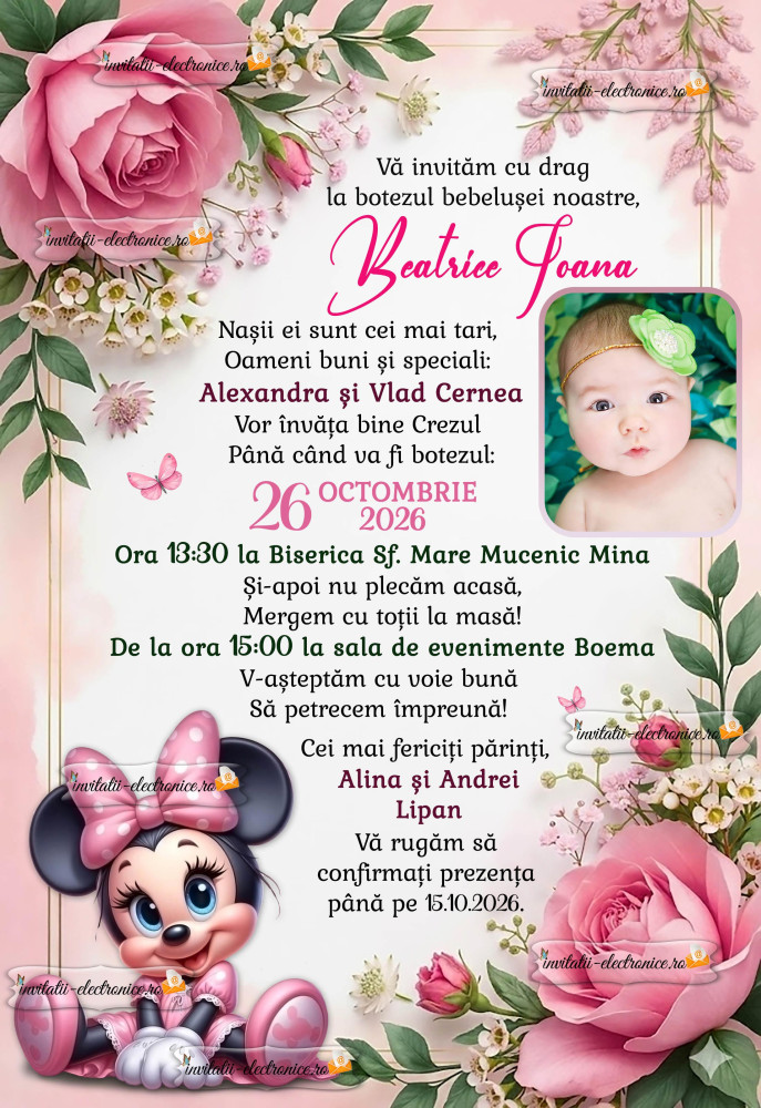 Invitatie cu Minnie Mouse
