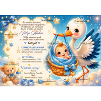 Invitatie barza cu bebe