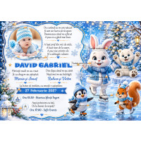 Invitatii electronice de botez iarna