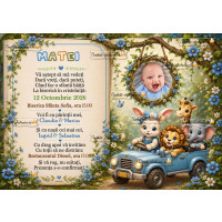 Invitatie cu animale in masina