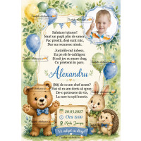 Invitatie la petrecere cu ursulet si baloane