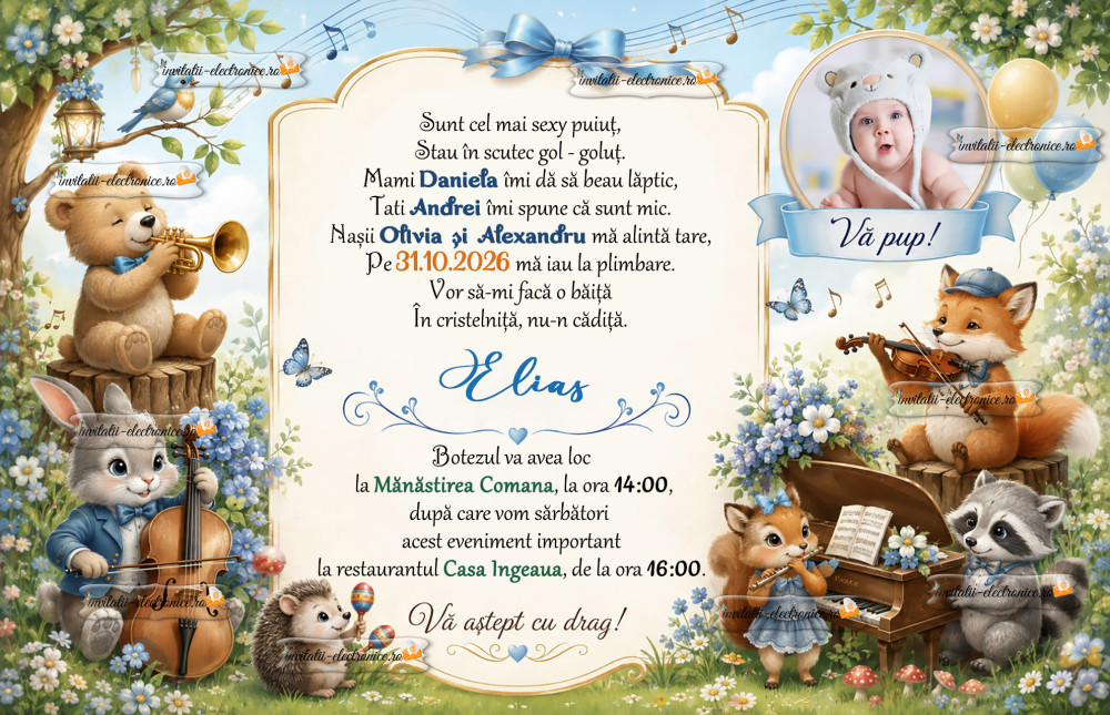 Invitatie de botez cu instrumente muzicale