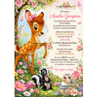 Invitatie la botez cu Bambi si Bocanila