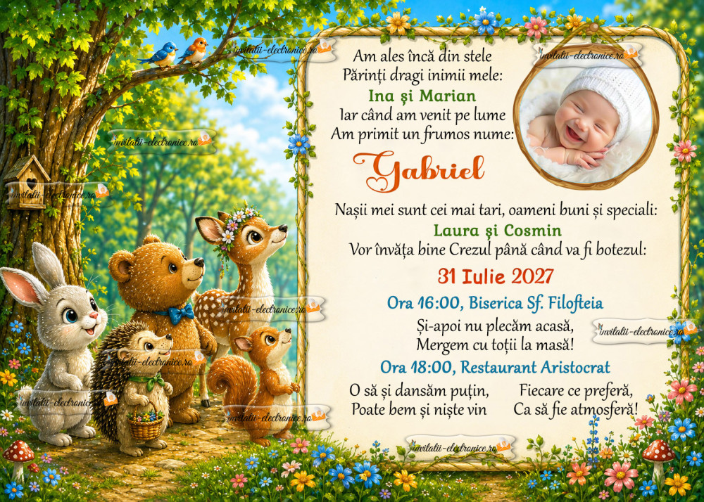 Invitatie electronica de botez 