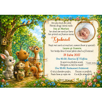 Invitatie electronica de botez 