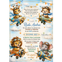 Invitatie de botez aviator