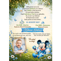 Invitatie la botez 