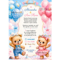 Invitatie aniversare gemeni