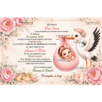 Invitatie nunta si botez de trimis online