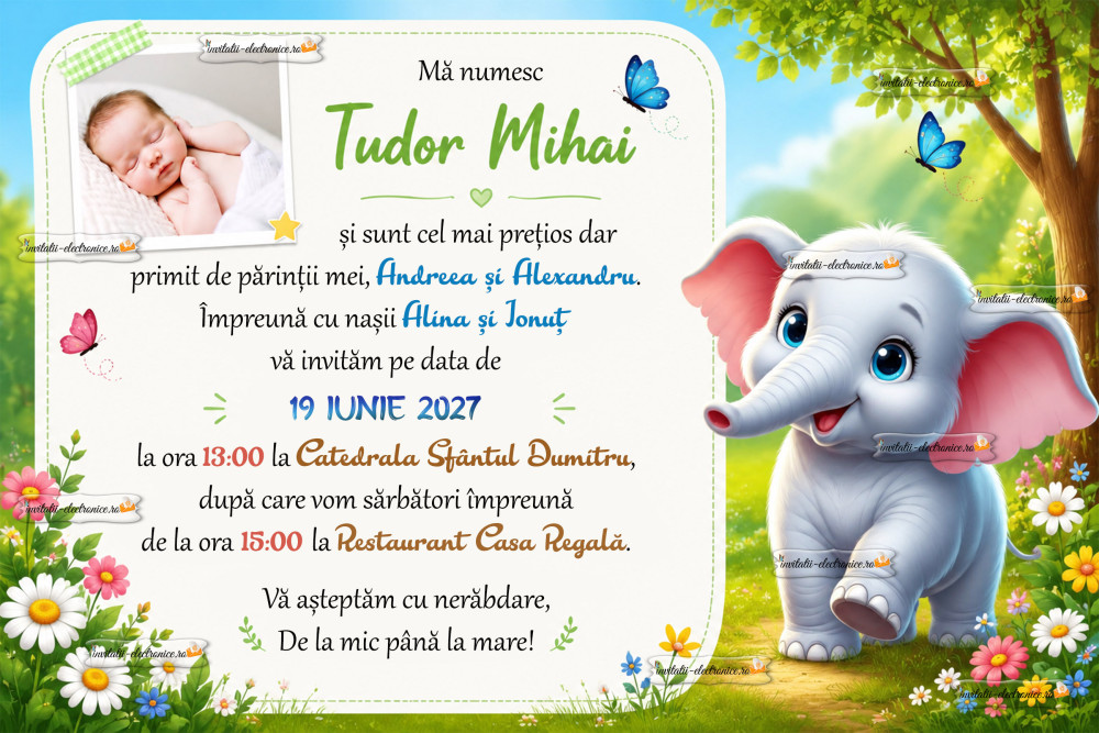 Invitatie cu elefantel, flori si fluturi