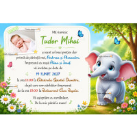 Invitatie cu elefantel, flori si fluturi