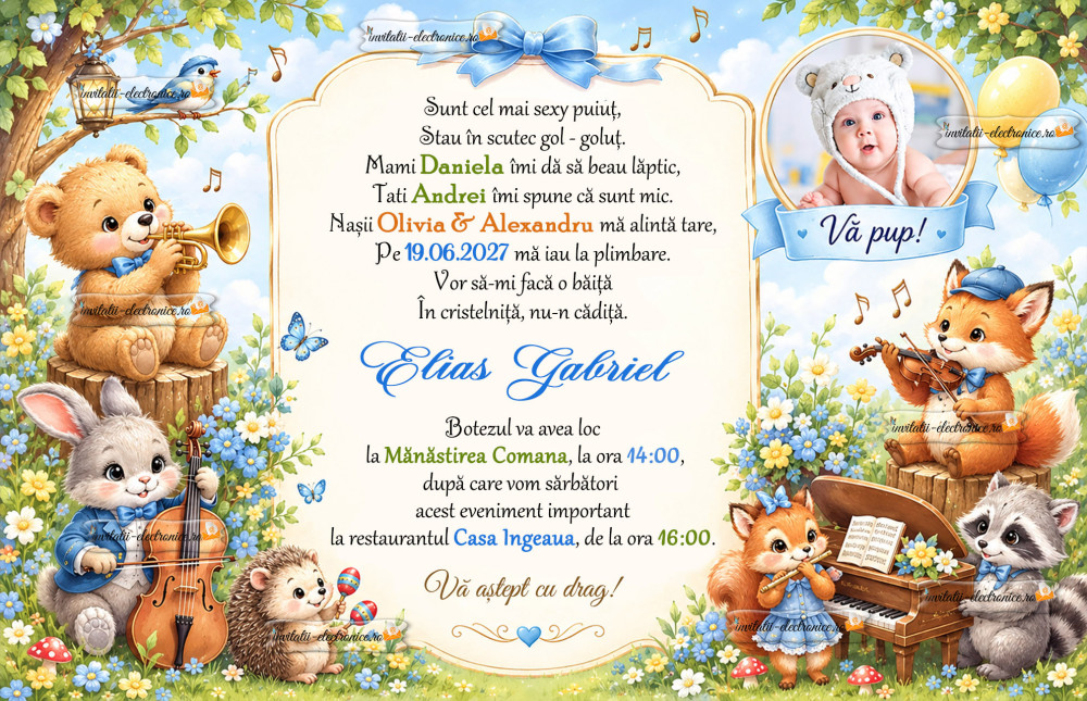 Invitatie de botez cu instrumente muzicale