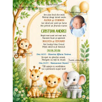 Invitatie digitala animale
