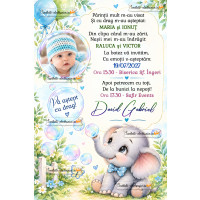 Invitatii electronice de botez cu elefant