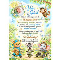 Invitatie cu animale
