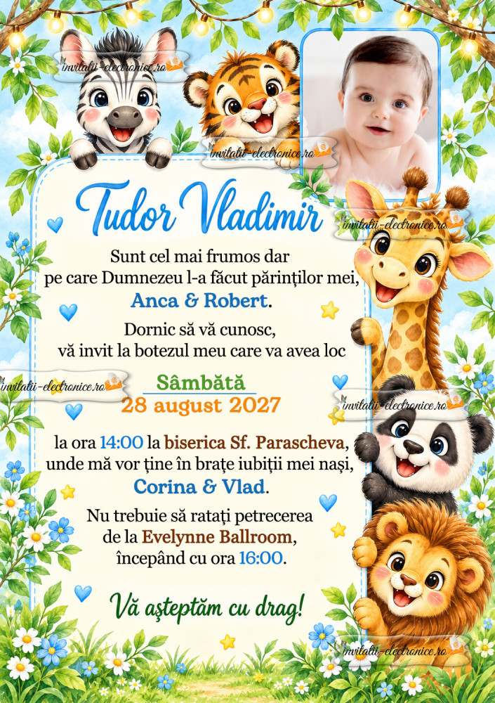 Invitatie la botez baietel