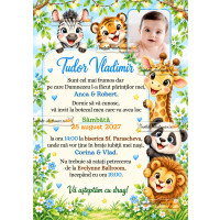 Invitatie la botez baietel