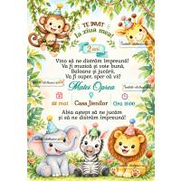 Invitatie petrecere baietel