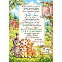 Invitatie de botez cu animale domestice