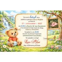 Invitatie la botez cu ursulet