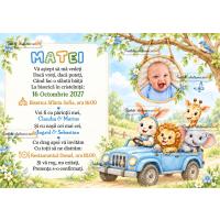 Invitatie cu animale in masina