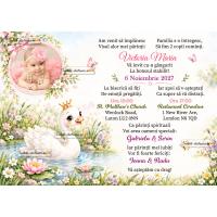Invitatie de botez cu lebada, flori si fluturi 