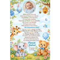 Invitatie de botez 