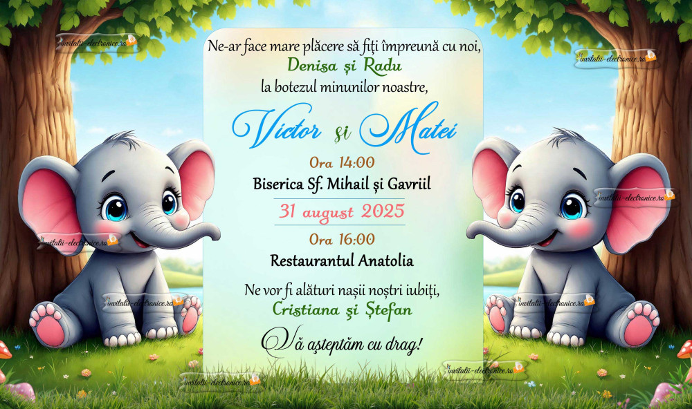 Invitatie botez baieti gemeni