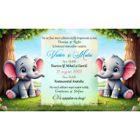 Invitatie botez baieti gemeni
