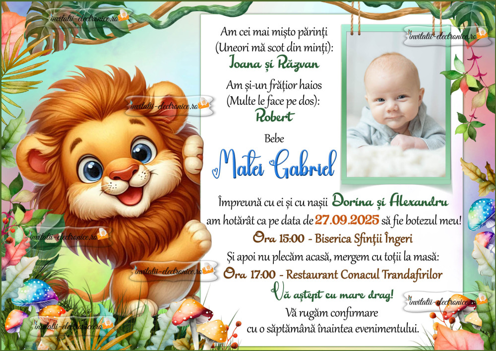 Invitatie cu leu