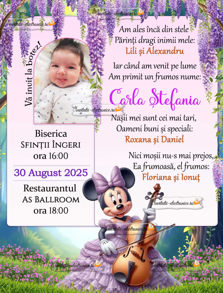 Invitatie botez cu Minnie