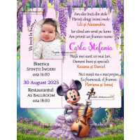 Invitatie botez cu Minnie