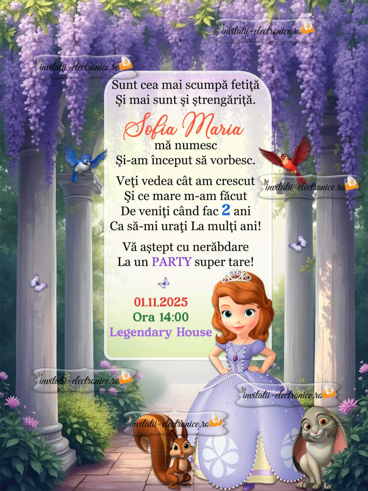 Invitatie cu Printesa Sofia