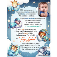 Invitatie la botez cu animale dormind